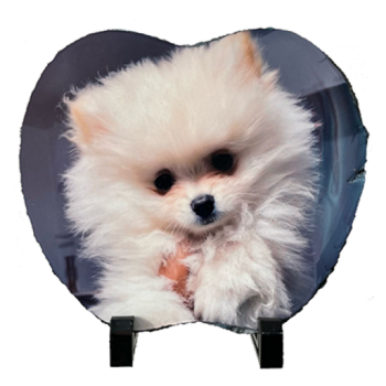 Marco Piedra Forma Manzana de 19x17 Personalizado con Foto